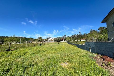 Helårsgrund i Viseu, Viseu, Viseu - € 27.500 | Ref: 389260064 - foto 6