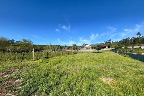 Helårsgrund i Viseu, Viseu, Viseu - € 27.500 | Ref: 389260064 - foto 7