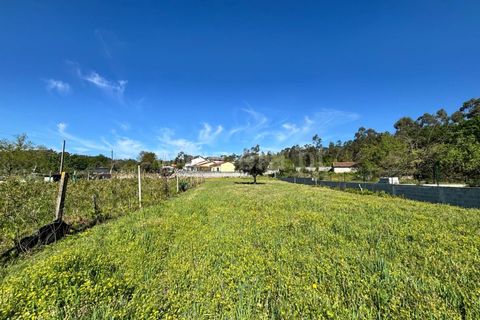 Helårsgrund i Viseu, Viseu, Viseu - € 27.500 | Ref: 389260064 - foto 8