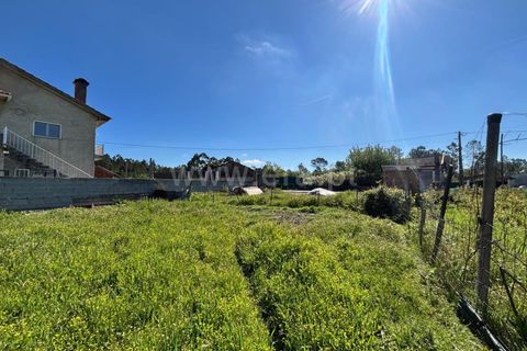 Helårsgrund i Viseu, Viseu, Viseu - € 27.500 | Ref: 389260064 - foto 9