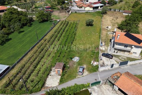 Helårsgrund i Viseu, Viseu, Viseu - € 27.500 | Ref: 389260064 - foto 2