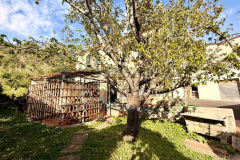 Villa i Rosignano Marittimo, Livorno, Rosignano Marittimo - € 170.000 | Ref: 1847 - foto 3