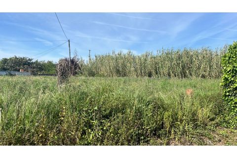 Helårsgrund i Esposende, Braga, Esposende - € 83.000 | Ref: UNU-F3-80-2 - foto 2