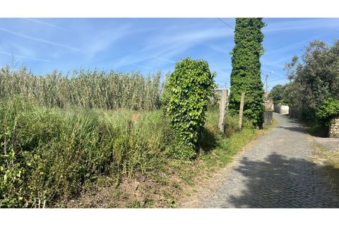 Helårsgrund i Esposende, Braga, Esposende - € 83.000 | Ref: UNU-F3-80-2 - foto 4