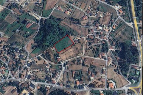 Tomt i Moncao, Viana do Castelo, Moncao - € 80 000 | Ref: KWPT-023302 - foto 6