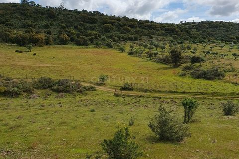 Helårsgrund i Redondo, Evora, Redondo - € 300.000 | Ref: C0185-03289 - foto 1