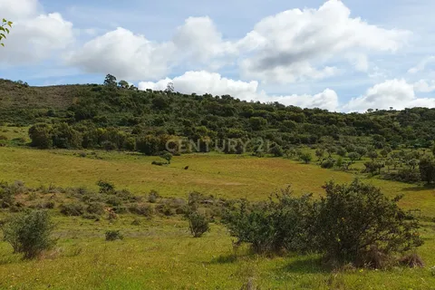 Helårsgrund i Redondo, Evora, Redondo - € 300.000 | Ref: C0185-03289 - foto 7