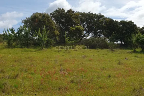 Helårsgrund i Redondo, Evora, Redondo - € 300.000 | Ref: C0185-03289 - foto 11