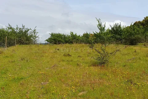 Helårsgrund i Redondo, Evora, Redondo - € 300.000 | Ref: C0185-03289 - foto 10