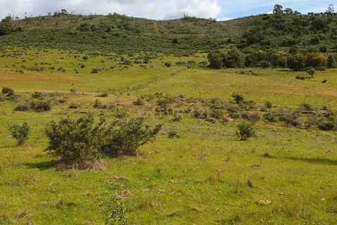 Helårsgrund i Redondo, Evora, Redondo - € 300.000 | Ref: C0185-03289 - foto 15