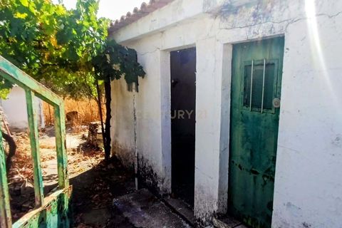 Villa i Terrugem e Vila Boim, Portalegre, Terrugem e Vila Boim - € 75.000 | Ref: C0185-03256 - foto 6