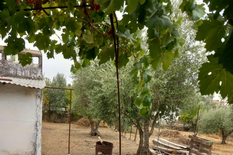 Villa i Terrugem e Vila Boim, Portalegre, Terrugem e Vila Boim - € 75.000 | Ref: C0185-03256 - foto 7