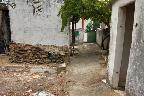 Villa i Terrugem e Vila Boim, Portalegre, Terrugem e Vila Boim - € 75.000 | Ref: C0185-03256 - foto 8