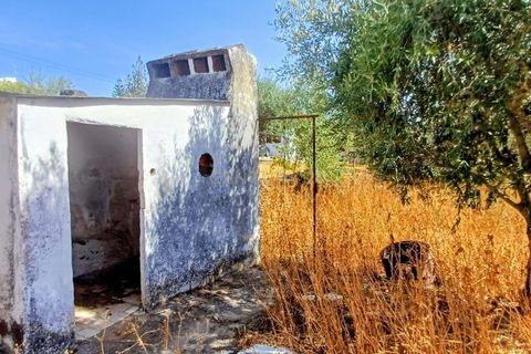 Villa i Terrugem e Vila Boim, Portalegre, Terrugem e Vila Boim - € 75.000 | Ref: C0185-03256 - foto 10