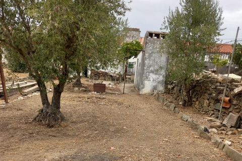 Villa i Terrugem e Vila Boim, Portalegre, Terrugem e Vila Boim - € 75.000 | Ref: C0185-03256 - foto 11