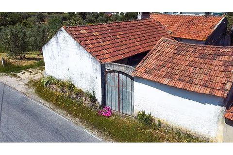 Villa i Gondemaria e Olival, Santarem, Gondemaria e Olival - € 95.000 | Ref: CV11012-24 - foto 3