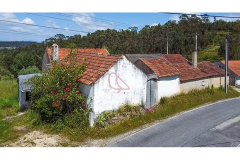 Villa i Gondemaria e Olival, Santarem, Gondemaria e Olival - € 95.000 | Ref: CV11012-24 - foto 2
