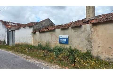 Villa i Gondemaria e Olival, Santarem, Gondemaria e Olival - € 95.000 | Ref: CV11012-24 - foto 5