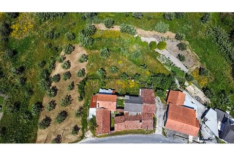 Villa i Gondemaria e Olival, Santarem, Gondemaria e Olival - € 95.000 | Ref: CV11012-24 - foto 1