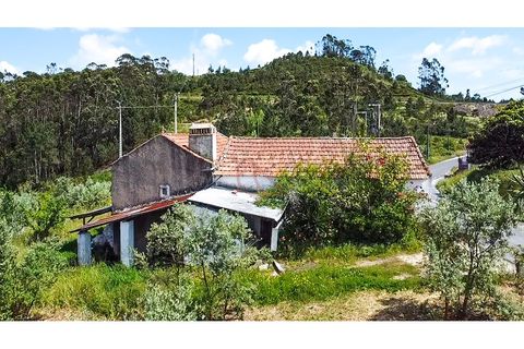 Villa i Gondemaria e Olival, Santarem, Gondemaria e Olival - € 95.000 | Ref: CV11012-24 - foto 8