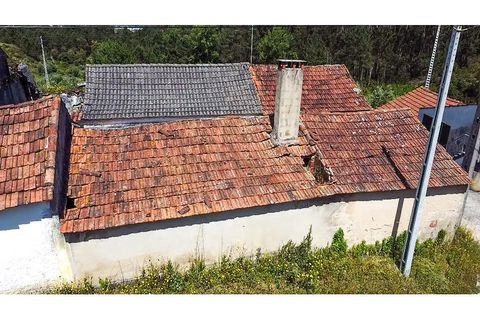 Villa i Gondemaria e Olival, Santarem, Gondemaria e Olival - € 95.000 | Ref: CV11012-24 - foto 10