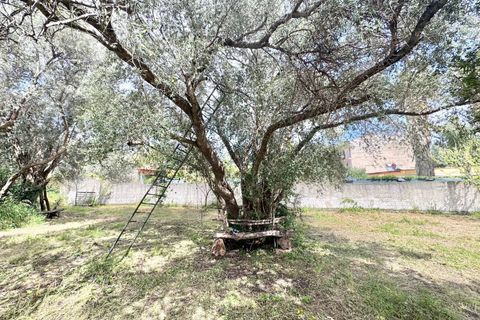 Terra a Palermo, Palermo, Palermo - € 500/mes | Ref: 54279437 - foto 2