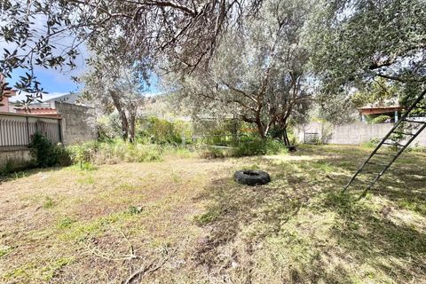 Terra a Palermo, Palermo, Palermo - € 500/mes | Ref: 54279437 - foto 3