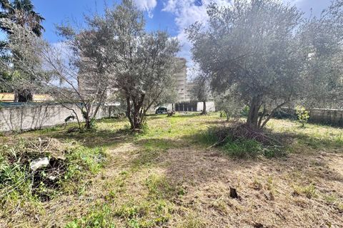 Terra a Palermo, Palermo, Palermo - € 500/mes | Ref: 54279437 - foto 4