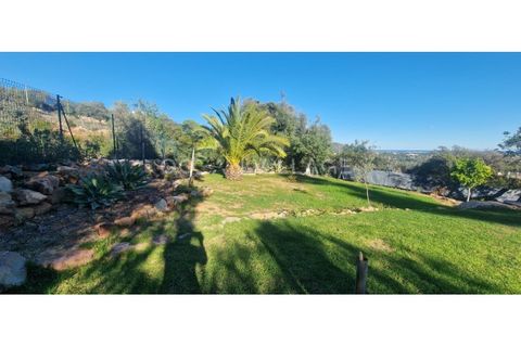 Villa i Moncarapacho, Faro, Moncarapacho - € 595.000 | Ref: HAB_120 - foto 7