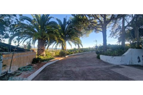 Villa i Moncarapacho, Faro, Moncarapacho - € 595.000 | Ref: HAB_120 - foto 12