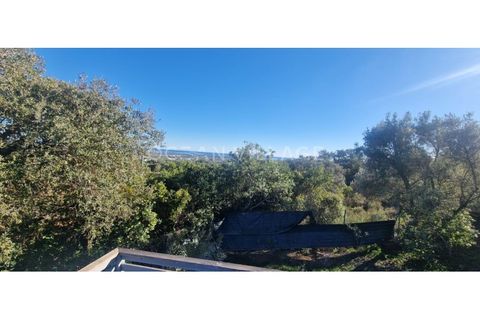 Villa i Moncarapacho, Faro, Moncarapacho - € 595.000 | Ref: HAB_120 - foto 13