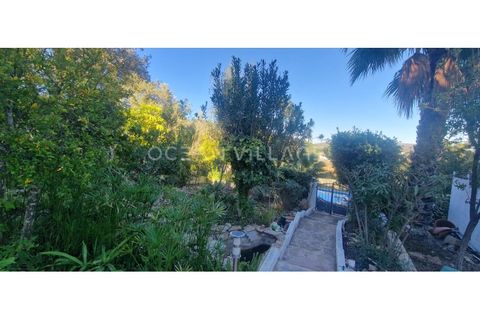 Villa i Moncarapacho, Faro, Moncarapacho - € 595.000 | Ref: HAB_120 - foto 17