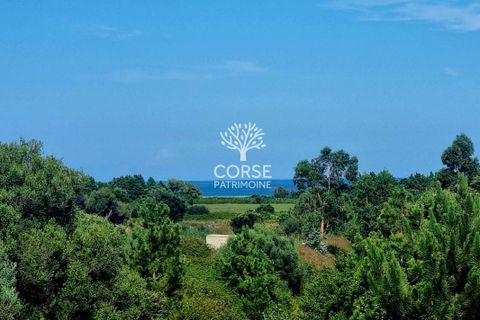 Villa a Solaro, Haute-Corse, Solaro - € 790.000 | Ref: M2814 - foto 2