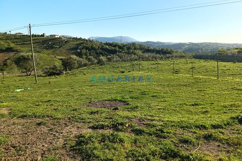 Terra a Batalha, Leiria, Batalha - € 40.000 | Ref: ANG1584 - foto 2