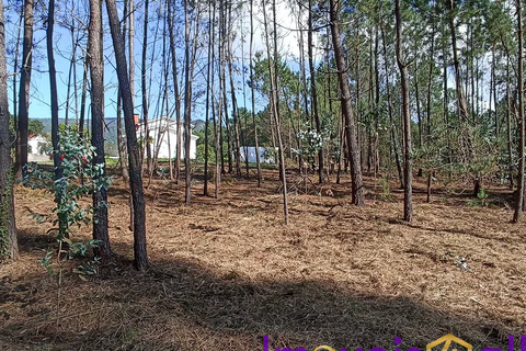 Helårsgrund i Valenca, Viana do Castelo, Valenca - € 55.000 | Ref: SV 2226 - foto 2