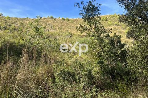 Terra a Sperlonga, Latina, Sperlonga - € 450.000 | Ref: exp-011794 - foto 3