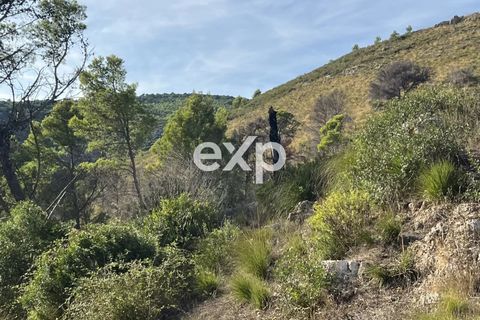 Terra a Sperlonga, Latina, Sperlonga - € 450.000 | Ref: exp-011794 - foto 4