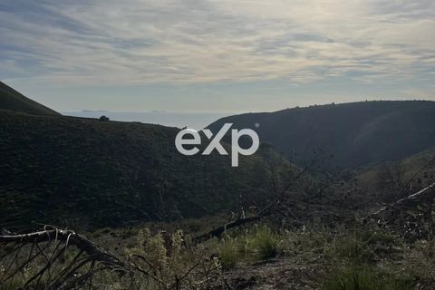 Terra a Sperlonga, Latina, Sperlonga - € 450.000 | Ref: exp-011794 - foto 6