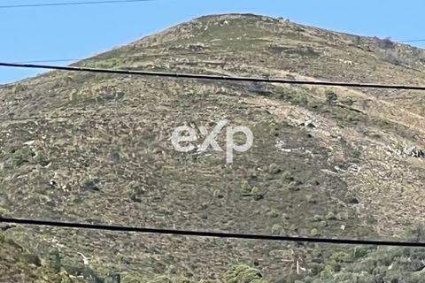 Terra a Sperlonga, Latina, Sperlonga - € 450.000 | Ref: exp-011794 - foto 7