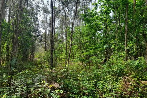 Erhvervsejendom i Vila Cha, Braga, Vila Cha - € 92.000 | Ref: 12/26 - foto 2