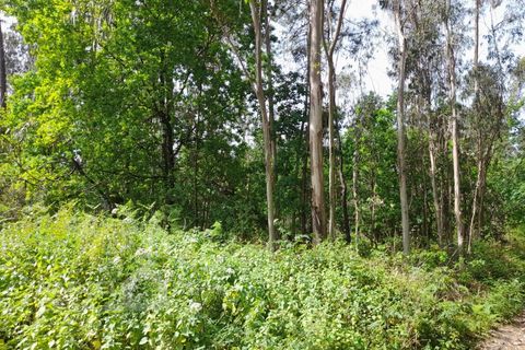 Erhvervsejendom i Vila Cha, Braga, Vila Cha - € 92.000 | Ref: 12/26 - foto 3