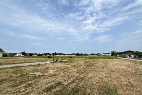 Terra a Martillac, Gironde, Martillac - € 188.980 | Ref: AM-MARTILLAC-500 - foto 2
