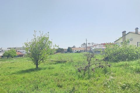 Helårsgrund i Leiria, Leiria, Leiria - € 170.000 | Ref: SF-SAFTI:008120 - foto 7