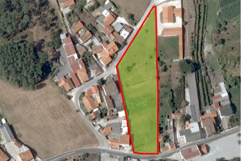 Helårsgrund i Leiria, Leiria, Leiria - € 170.000 | Ref: SF-SAFTI:008120 - foto 12