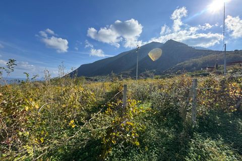 Terra a Malfa, Messina, Malfa - € 45.000 | Ref: 1261 - foto 3