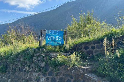 Terra a Malfa, Messina, Malfa - € 45.000 | Ref: 1261 - foto 4