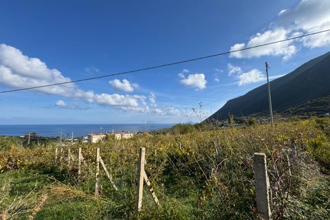 Terra a Malfa, Messina, Malfa - € 45.000 | Ref: 1261 - foto 5