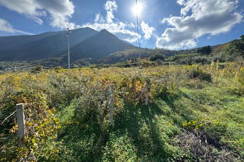 Terra a Malfa, Messina, Malfa - € 45.000 | Ref: 1261 - foto 6