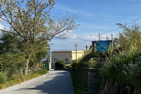 Terra a Malfa, Messina, Malfa - € 45.000 | Ref: 1261 - foto 7