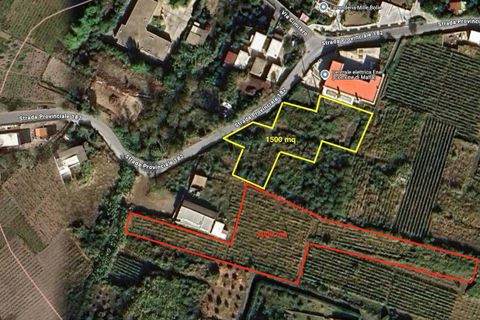 Terra a Malfa, Messina, Malfa - € 45.000 | Ref: 1261 - foto 8